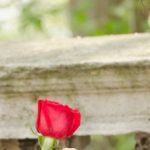 Este iubirea suficienta intr-o relatie?