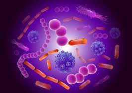 5 Moduri de a-ti imbunatati microflora!