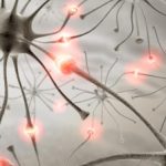 Epilepsia petit mal