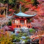 35 de fraze cheie ale intelepciunii japoneza. Merita notate si aplicate!