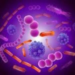 5 Moduri de a-ti imbunatati microflora!